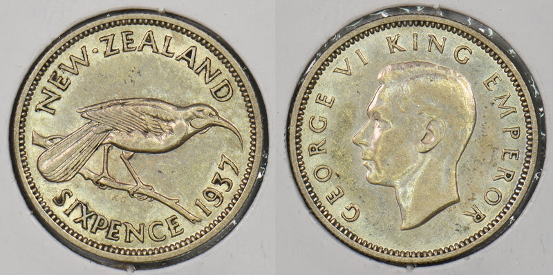 New Zealand 1937 6 Pence Bird animal P290395 combine shipping0