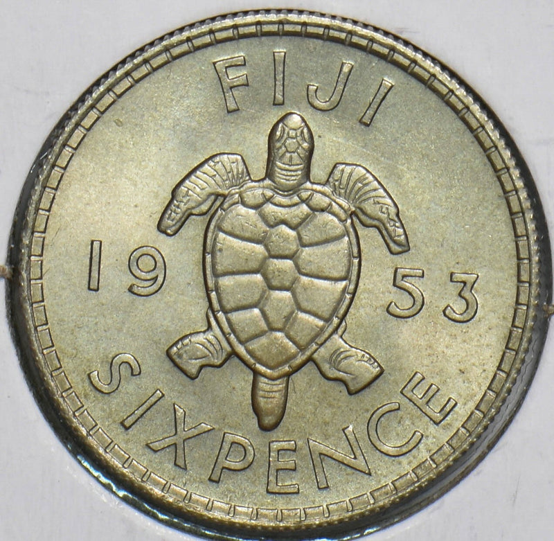 Fiji 1953 6 Pence Sea turtle animal P490006 combine shipping0