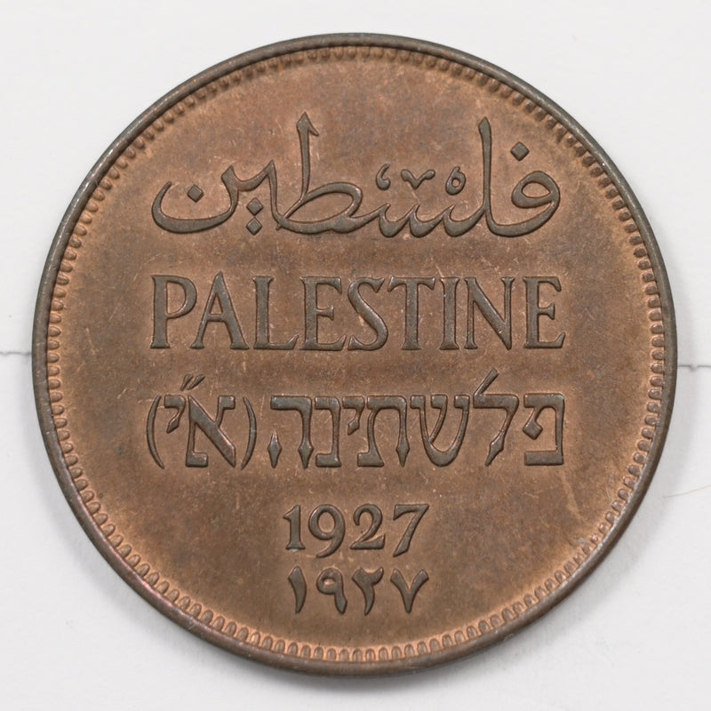 Palestine 1927 British Mandate-10,000 minted 2 Mils P903977 UNC0