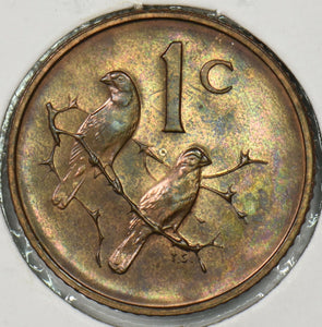 South Africa 1967 Cent Sparrows animal Proof P900312 combine shipping0