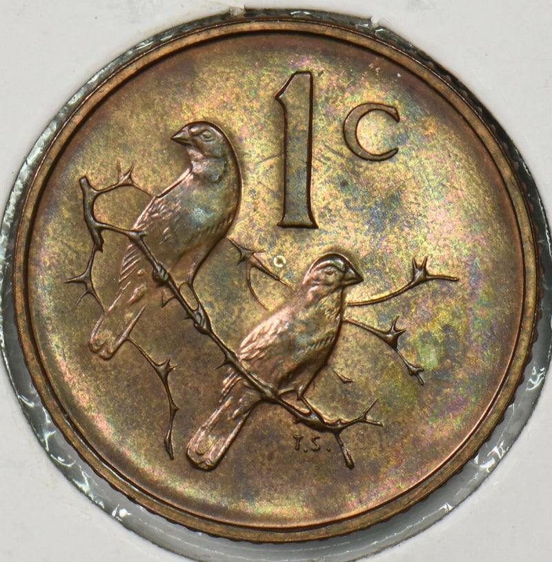South Africa 1967 Cent Sparrows animal Proof P900312 combine shipping0