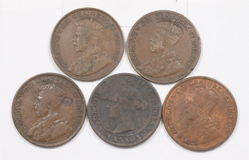 Canada 1876-1919 George V/Victoria Large Cent Lot of 5, P2402430