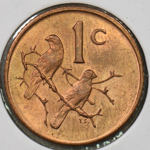 South Africa 1971 cent Sparrows animal P900416 combine shipping0